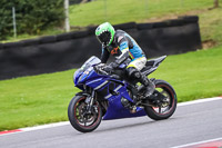 Lower Group Blue Bikes